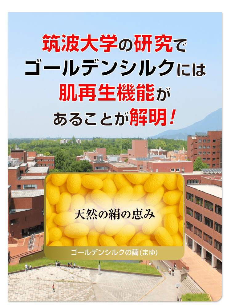 洗顔 石けん 洗顔料 洗顔フォーム