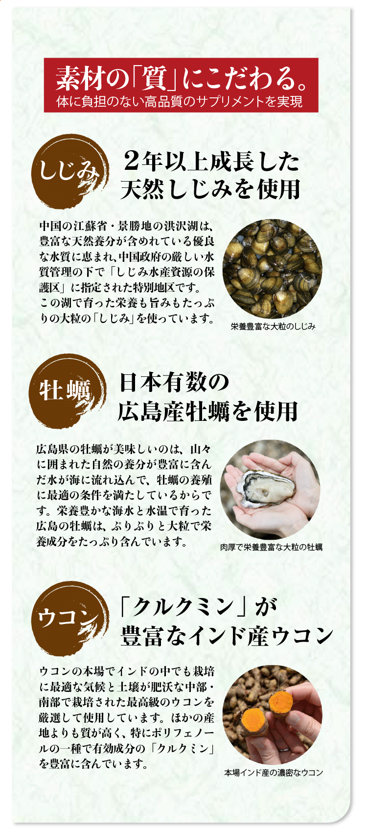 徳用しじみの入った牡蠣ウコン