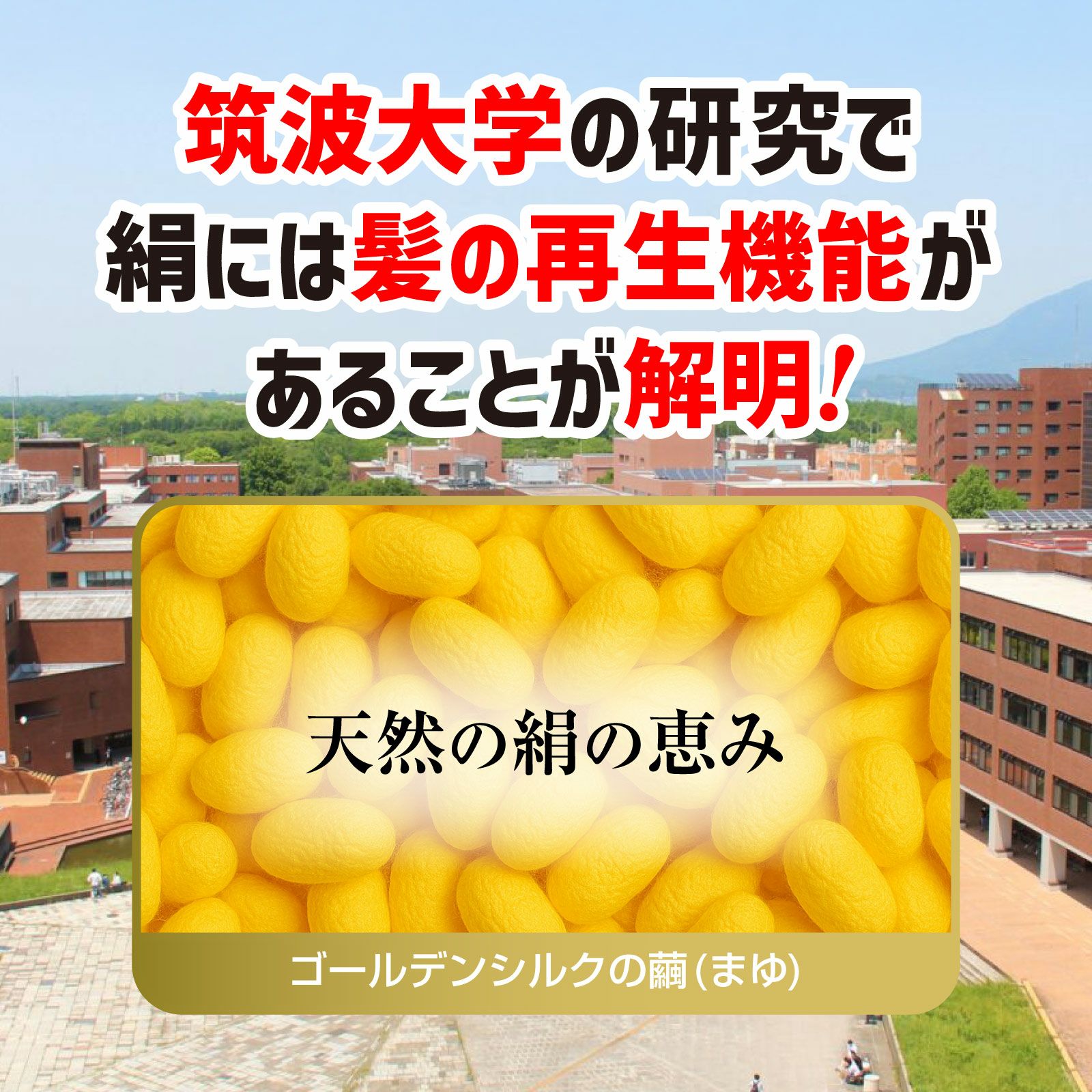 絹の艶姫 ゴールデンシルク石鹸